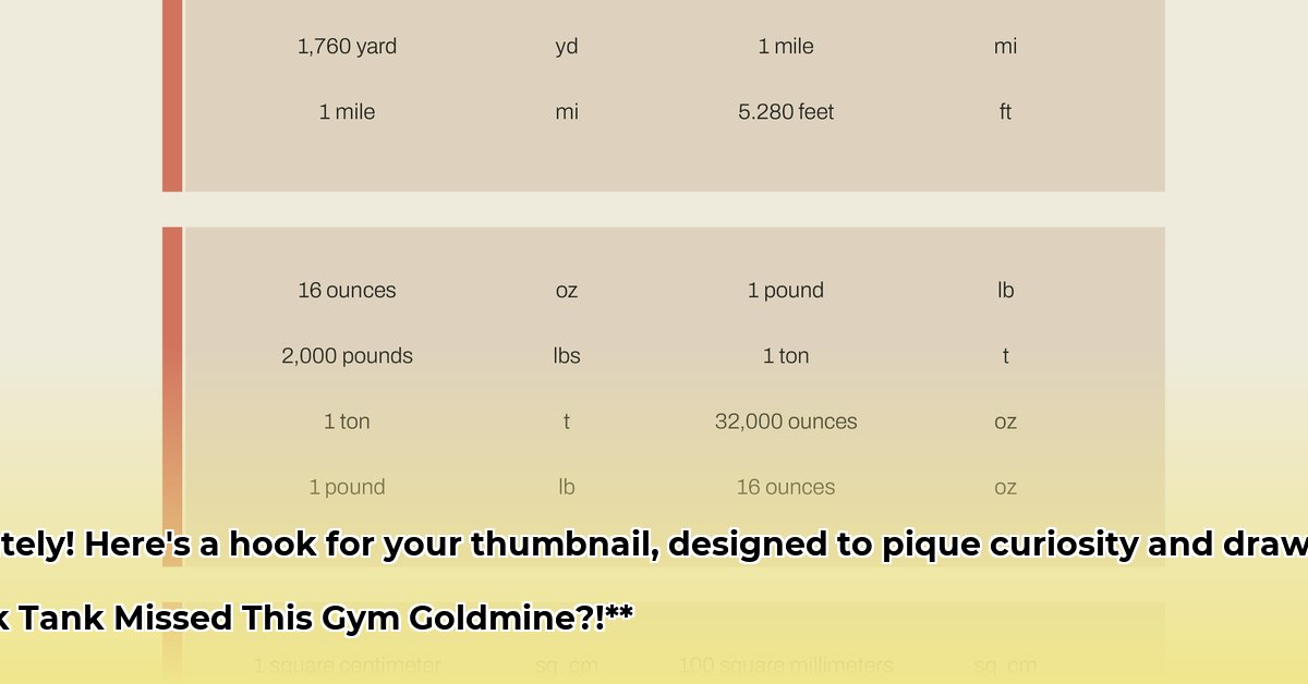 metric-mate-net-worth